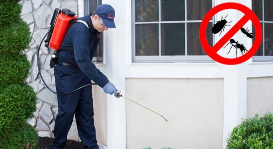 Kadıköy Dezenfeksiyon böcek ilaçlama ve haşere kontrolü — ilaclama-tr.com